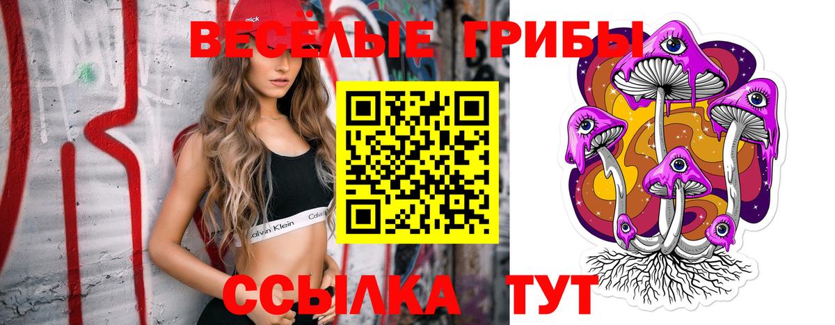 Егорьевск  Галлюциногенные грибы ЛСД  магазин  наркотиков  Вход с VPN 